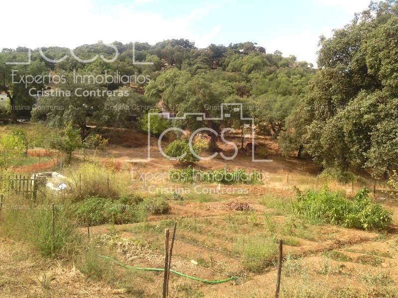 Area Edificabile in vendita in Cazalla de la Sierra - 250.000 € (Rif: 3733680)