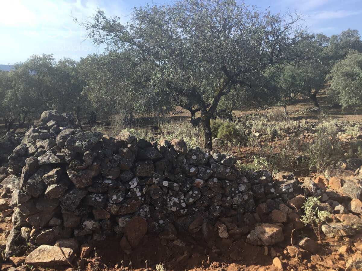 Area Edificabile in vendita in Cazalla de la Sierra - 250.000 € (Rif: 3733680)