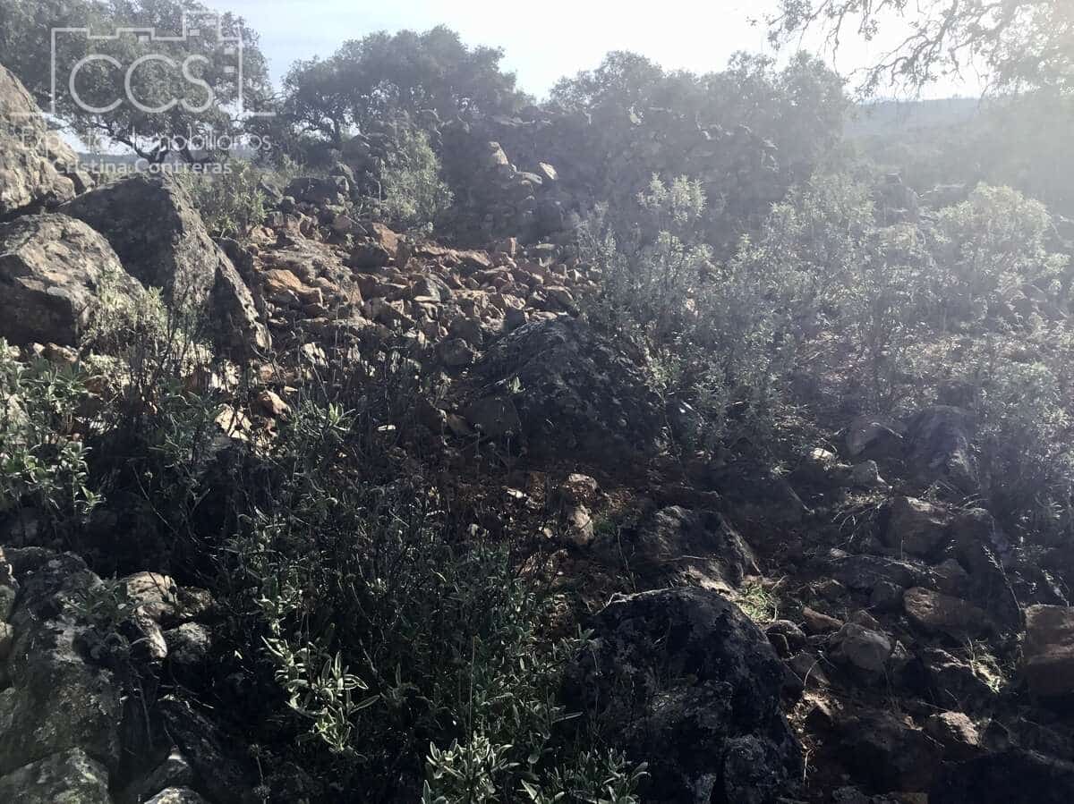 Area Edificabile in vendita in Cazalla de la Sierra - 250.000 € (Rif: 3733680)