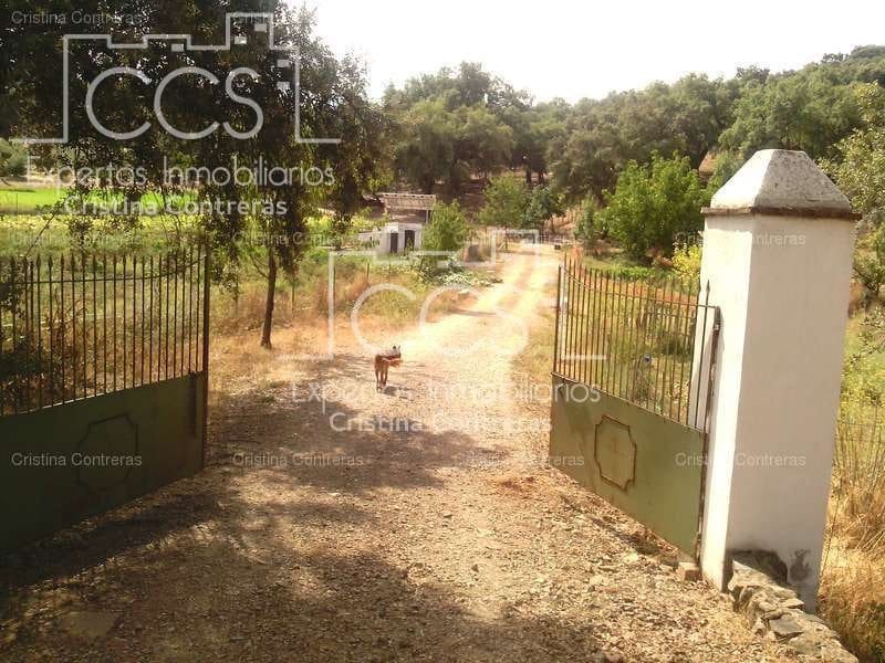 Area Edificabile in vendita in Cazalla de la Sierra - 250.000 € (Rif: 3733680)