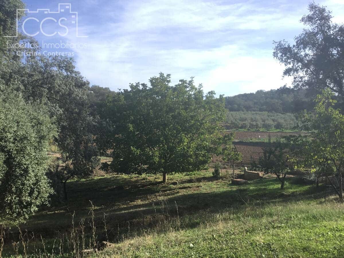 Area Edificabile in vendita in Cazalla de la Sierra - 250.000 € (Rif: 3733680)