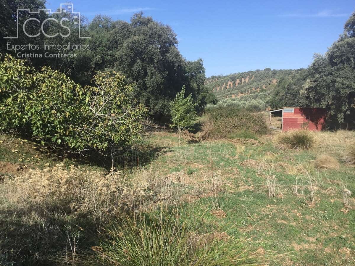 Area Edificabile in vendita in Cazalla de la Sierra - 250.000 € (Rif: 3733680)
