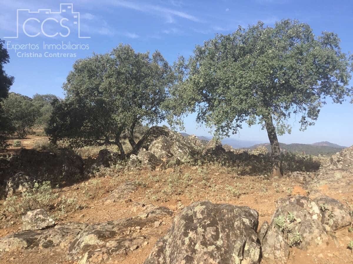 Area Edificabile in vendita in Cazalla de la Sierra - 250.000 € (Rif: 3733680)