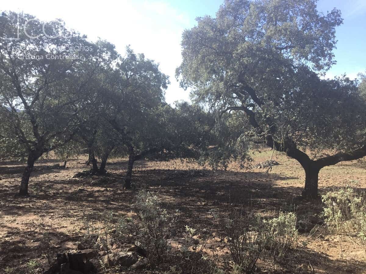 Area Edificabile in vendita in Cazalla de la Sierra - 250.000 € (Rif: 3733680)