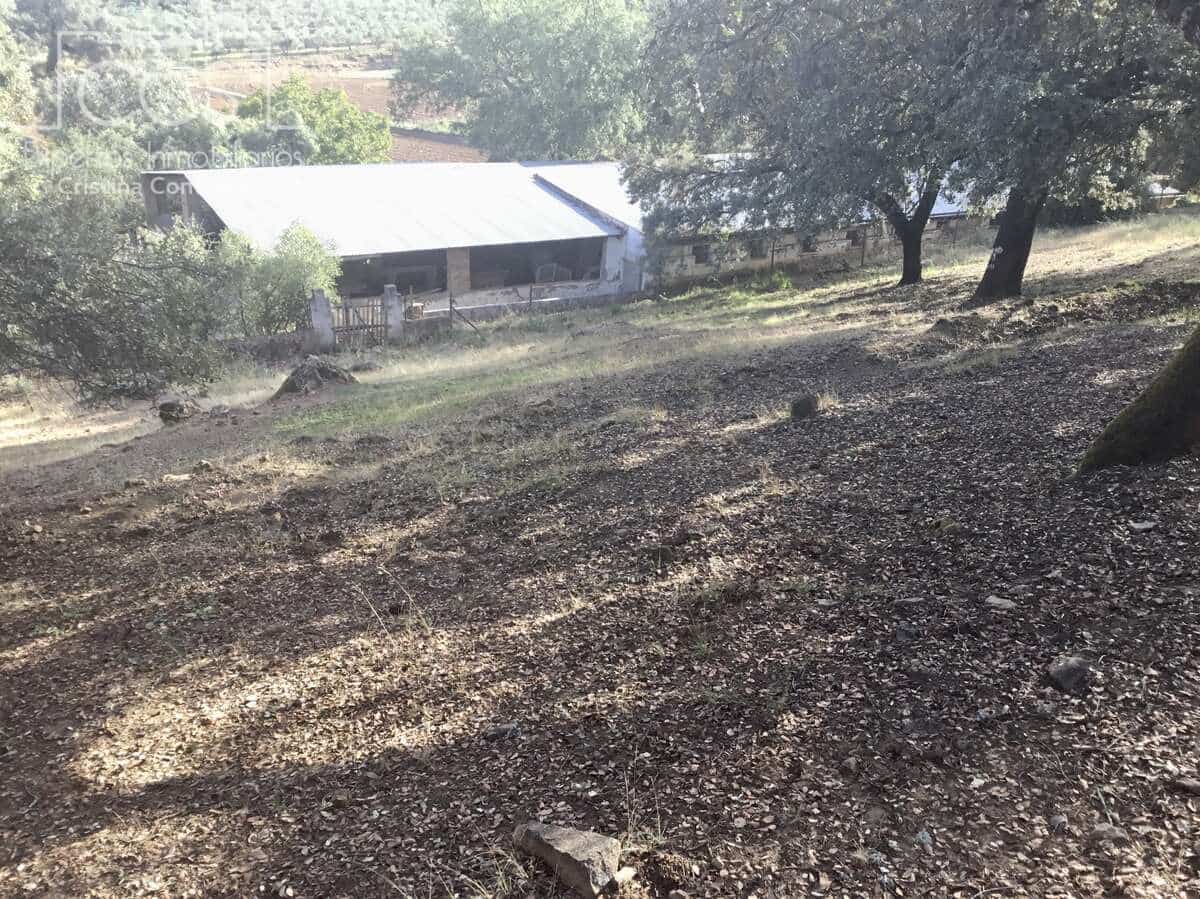 Bouwgrond te koop in Cazalla de la Sierra - € 250.000 (Ref: 3733680)