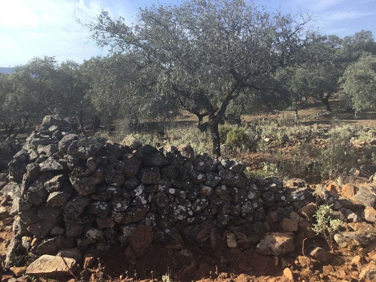 Bouwgrond te koop in Cazalla de la Sierra - € 250.000 (Ref: 3733680)