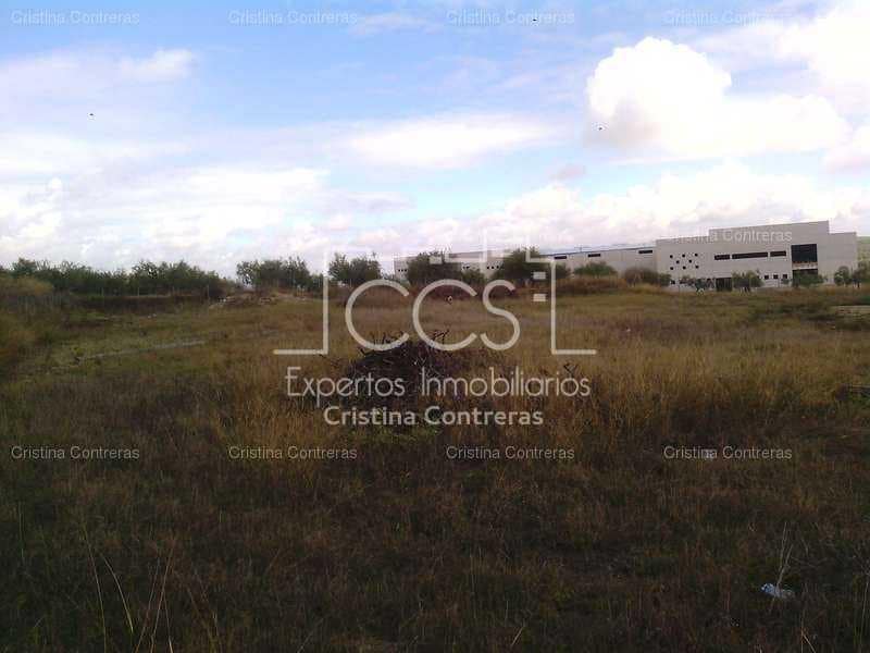 Terrain à Bâtir à vendre à Olivares - 600 000 € (Ref: 3734006)