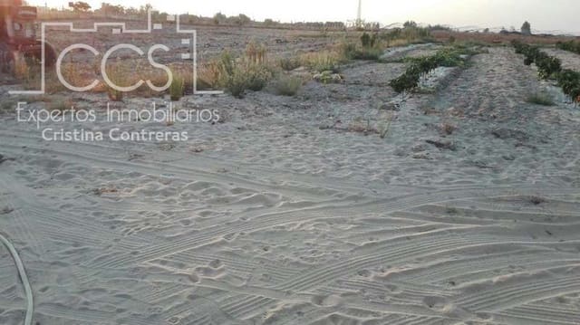 Building Plot for sale in Almonte - € 165,000 (Ref: 4115322)