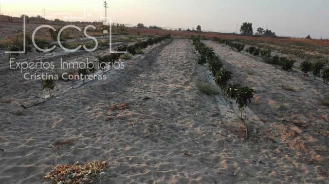 Building Plot for sale in Almonte - € 165,000 (Ref: 4115322)