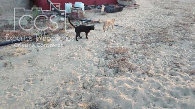 Building Plot for sale in Almonte - € 165,000 (Ref: 4115322)