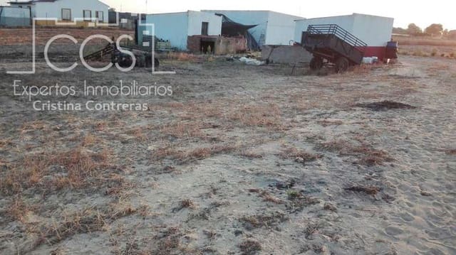 Building Plot for sale in Almonte - € 165,000 (Ref: 4115322)