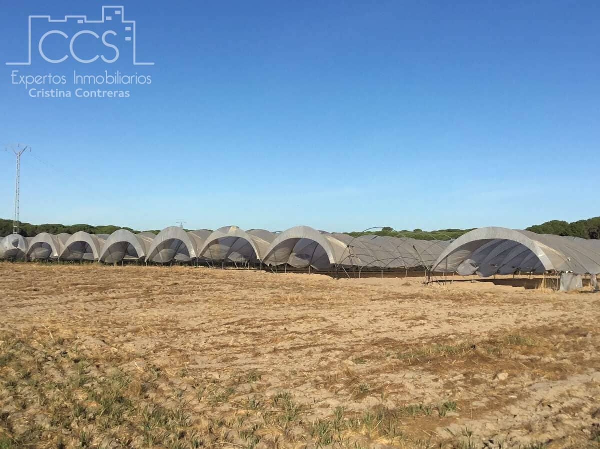 Area Edificabile in vendita in Almonte - 165.000 € (Rif: 4115322)