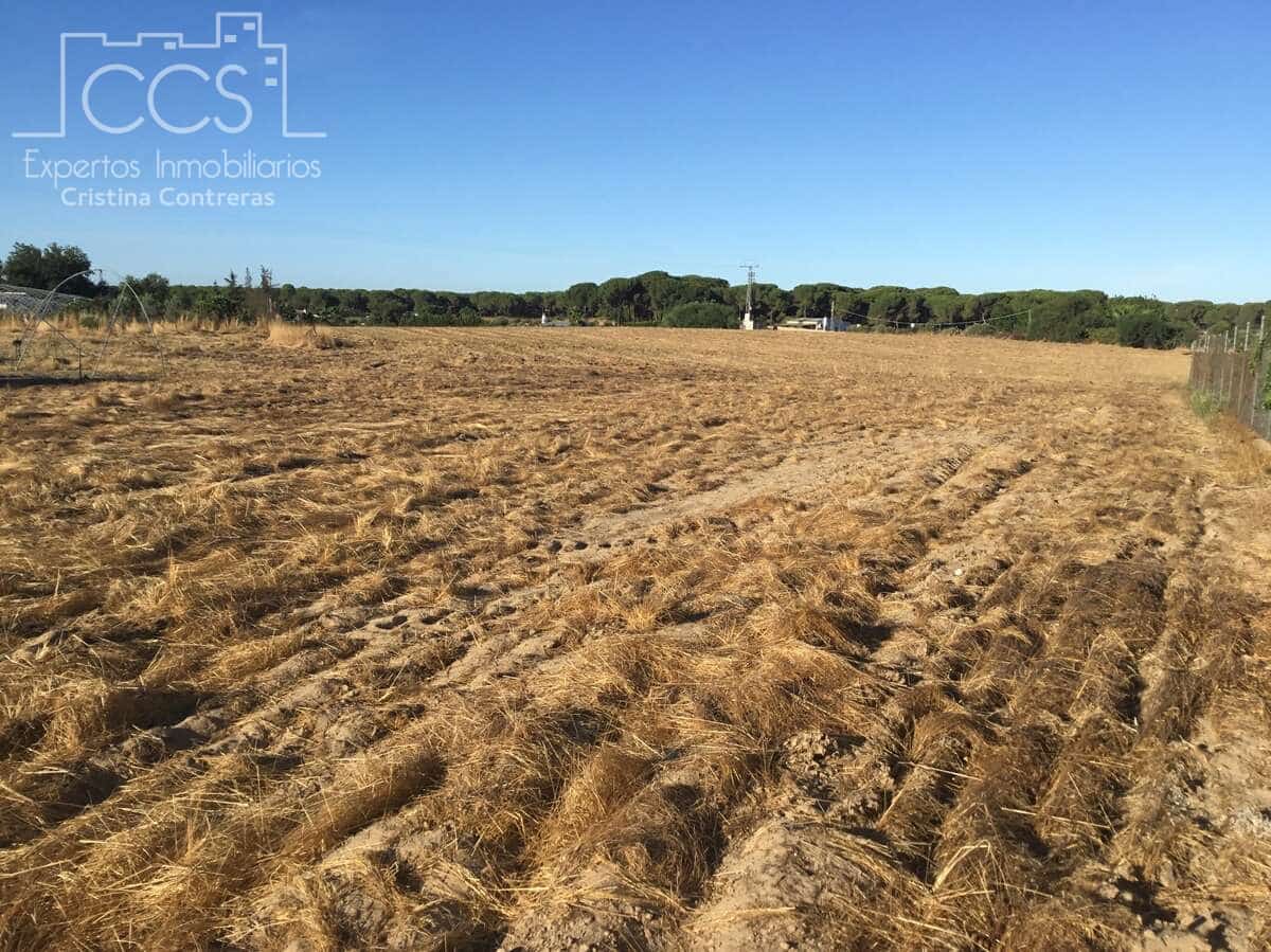 Area Edificabile in vendita in Almonte - 165.000 € (Rif: 4115322)