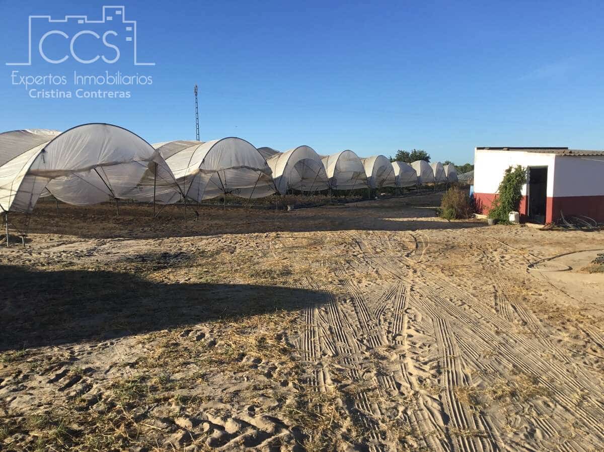 Area Edificabile in vendita in Almonte - 165.000 € (Rif: 4115322)