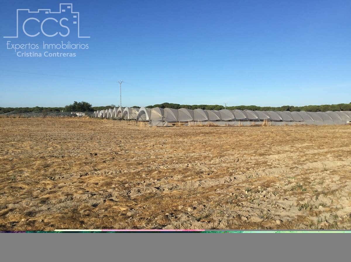 Area Edificabile in vendita in Almonte - 165.000 € (Rif: 4115322)