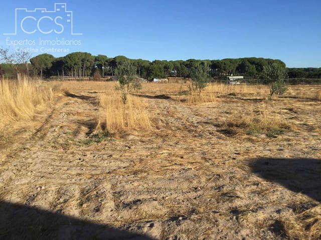 Bauplatz zu verkaufen in Almonte - 165.000 € (Ref: 4115322)