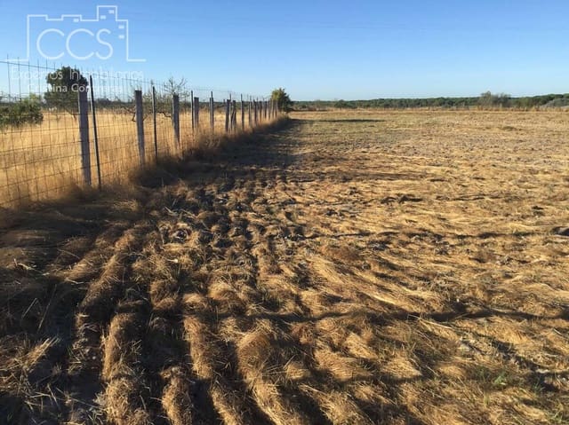 Bauplatz zu verkaufen in Almonte - 165.000 € (Ref: 4115322)