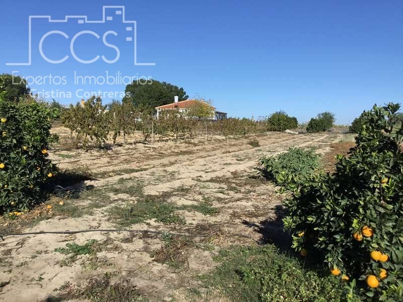 3 soverom Finca/Herregård til salgs i Almonte - € 96 000 (Ref: 4256436)