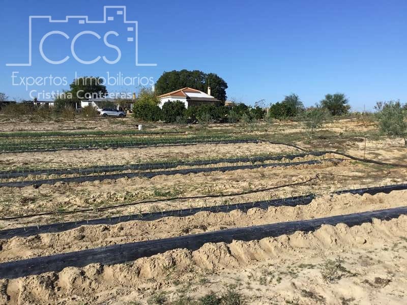 3 soverom Finca/Herregård til salgs i Almonte - € 96 000 (Ref: 4256436)