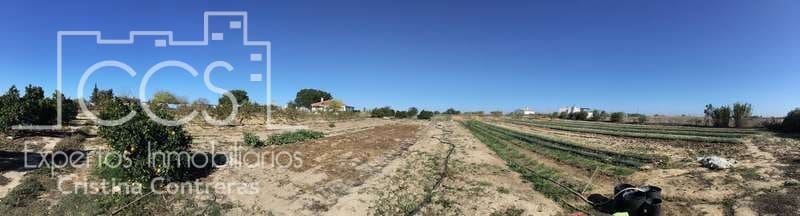 3 soverom Finca/Herregård til salgs i Almonte - € 96 000 (Ref: 4256436)