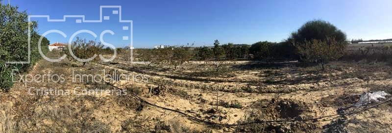 3 soverom Finca/Herregård til salgs i Almonte - € 96 000 (Ref: 4256436)