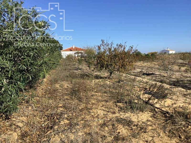 3 soverom Finca/Herregård til salgs i Almonte - € 96 000 (Ref: 4256436)