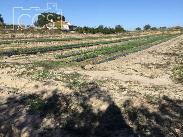 3 soverom Finca/Herregård til salgs i Almonte - € 96 000 (Ref: 4256436)