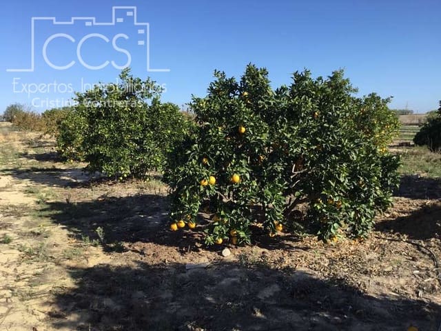 3 soverom Finca/Herregård til salgs i Almonte - € 96 000 (Ref: 4256436)