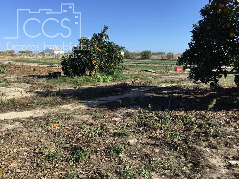 3 soverom Finca/Herregård til salgs i Almonte - € 96 000 (Ref: 4256436)