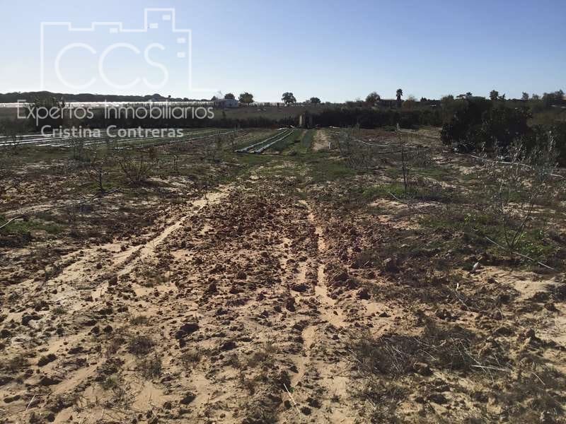 3 soverom Finca/Herregård til salgs i Almonte - € 96 000 (Ref: 4256436)