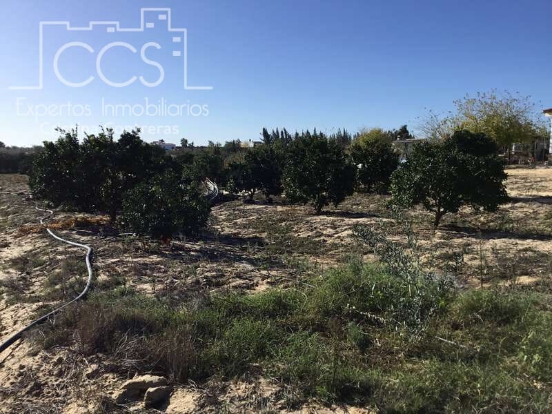 3 soverom Finca/Herregård til salgs i Almonte - € 96 000 (Ref: 4256436)