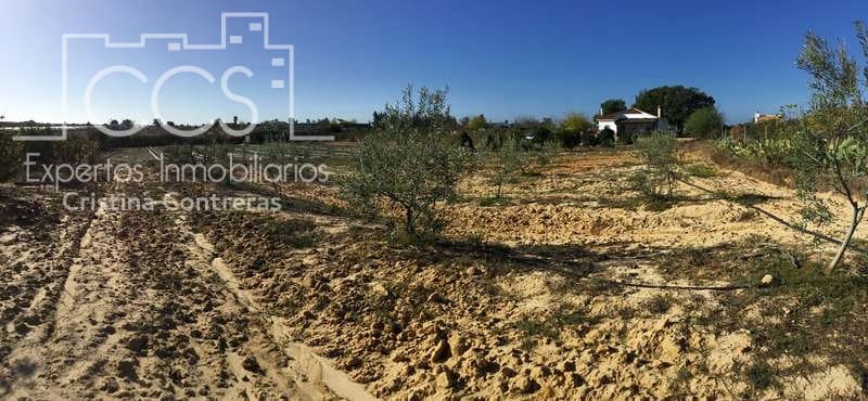 3 soverom Finca/Herregård til salgs i Almonte - € 96 000 (Ref: 4256436)