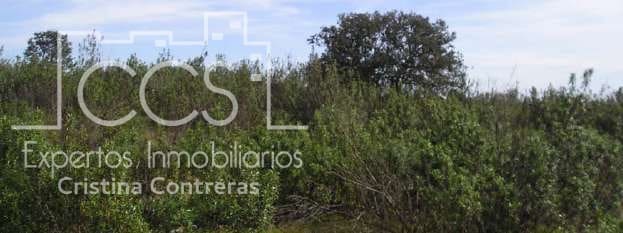 11 camera da letto Finca/Casa di Campagna in vendita in Cabezas Rubias - 9.000.000 € (Rif: 4277627)