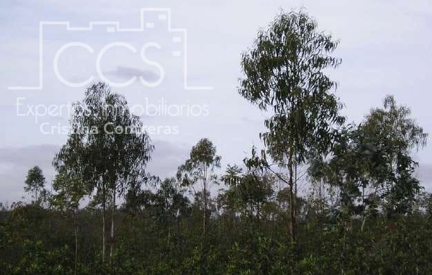 11 camera da letto Finca/Casa di Campagna in vendita in Cabezas Rubias - 9.000.000 € (Rif: 4277627)