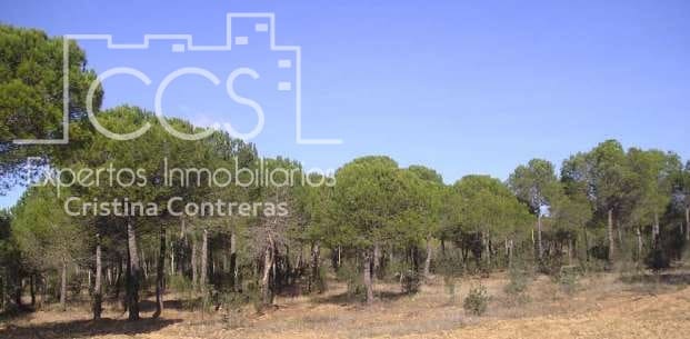 11 soveværelse Finca/Landehus til salg i Cabezas Rubias - € 9.000.000 (Ref: 4277627)