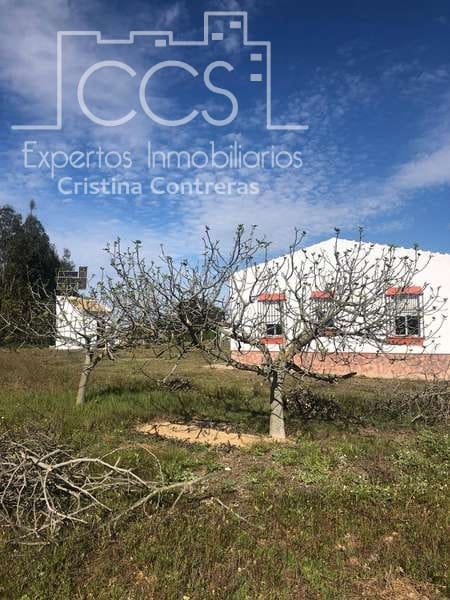 4 Zimmer Finca/Landgut zu verkaufen in Almonte - 129.000 € (Ref: 4383572)