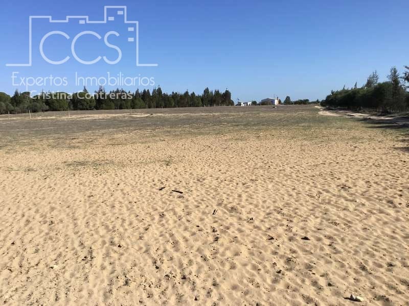 4 Zimmer Finca/Landgut zu verkaufen in Almonte - 129.000 € (Ref: 4383572)