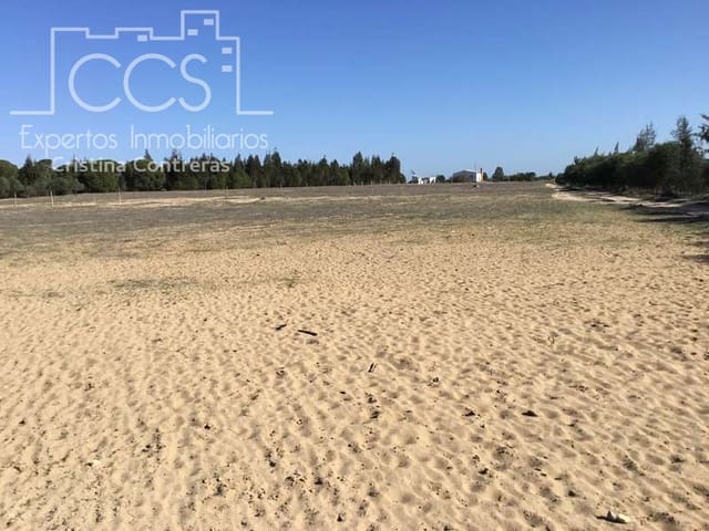 4 sypialnia Finka/Dom wiejski na sprzedaż w Almonte - 129 000 € (Ref: 4383572)