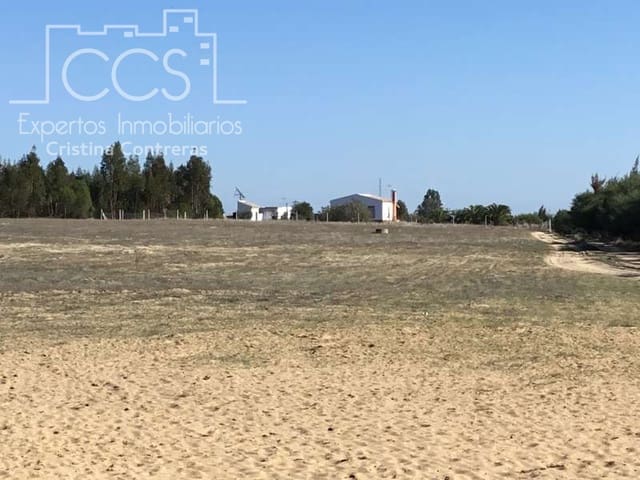 4 sypialnia Finka/Dom wiejski na sprzedaż w Almonte - 129 000 € (Ref: 4383572)