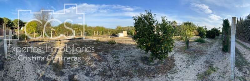 2 soverom Finca/Herregård til salgs i Almonte - € 83 000 (Ref: 4509334)