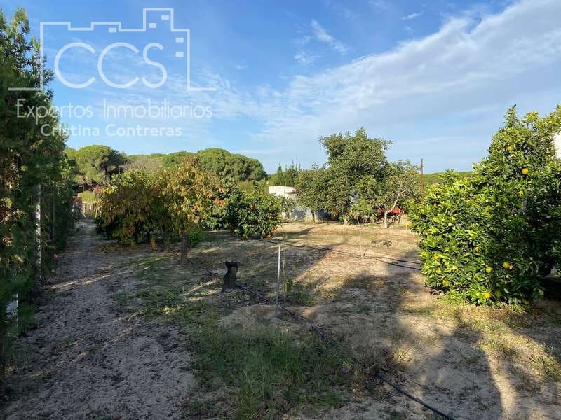 2 soverom Finca/Herregård til salgs i Almonte - € 83 000 (Ref: 4509334)