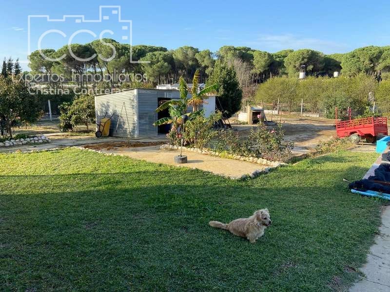 2 soverom Finca/Herregård til salgs i Almonte - € 83 000 (Ref: 4509334)