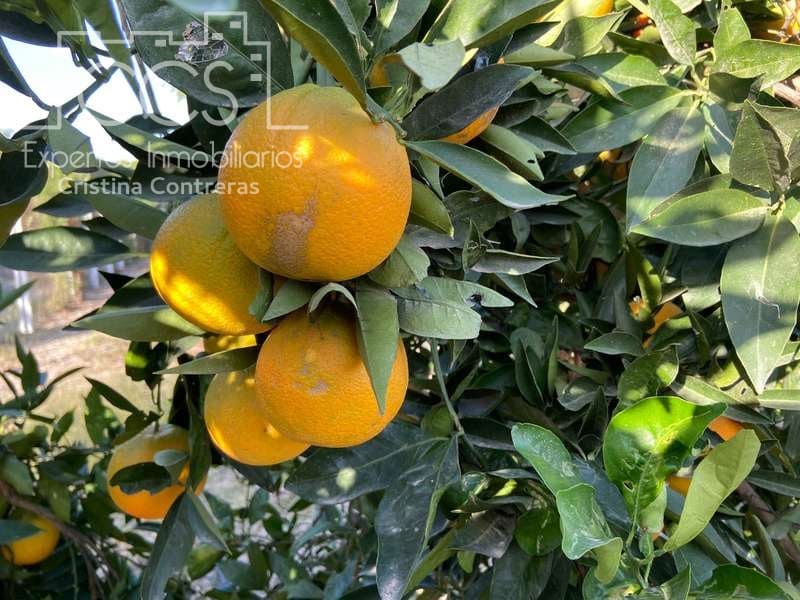 2 soverom Finca/Herregård til salgs i Almonte - € 83 000 (Ref: 4509334)