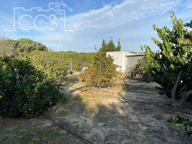 2 soverom Finca/Herregård til salgs i Almonte - € 83 000 (Ref: 4509334)