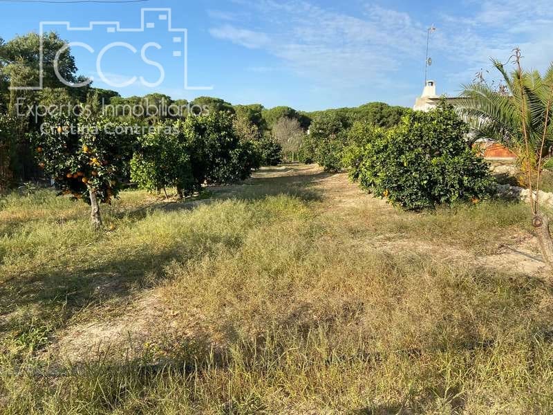 2 soverom Finca/Herregård til salgs i Almonte - € 83 000 (Ref: 4509334)