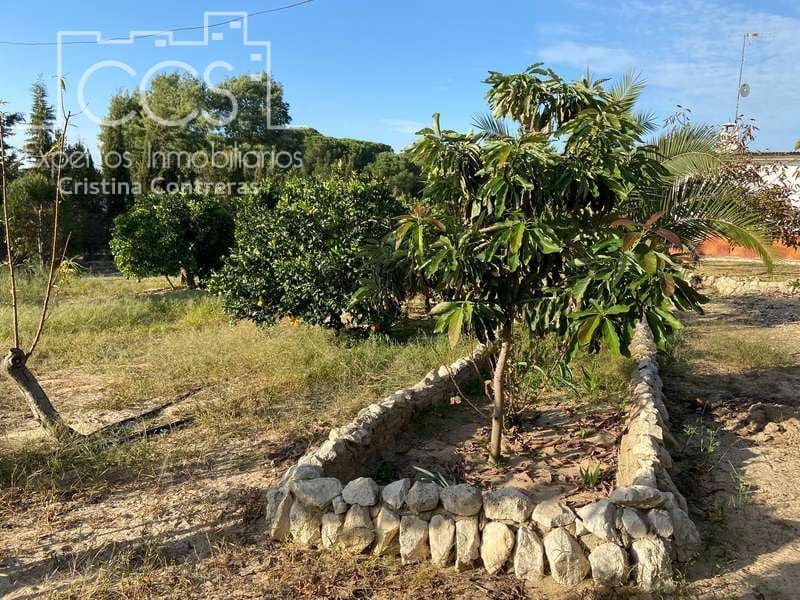 2 soverom Finca/Herregård til salgs i Almonte - € 83 000 (Ref: 4509334)