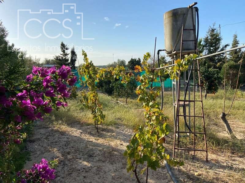 2 soverom Finca/Herregård til salgs i Almonte - € 83 000 (Ref: 4509334)