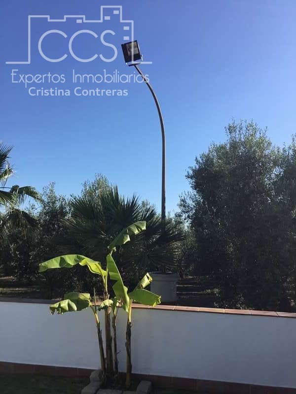 Finca/Casa Rural de 4 habitaciones en Pilas en venta con piscina - 400.000 € (Ref: 4617063)