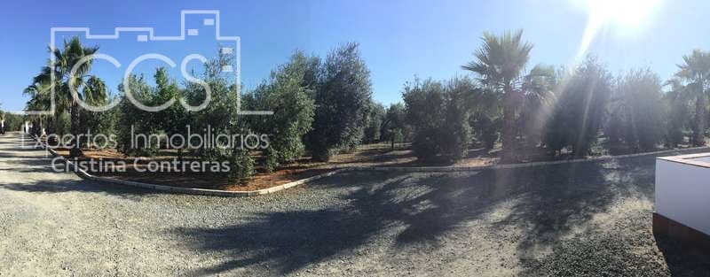 Finca/Casa Rural de 4 habitaciones en Pilas en venta con piscina - 400.000 € (Ref: 4617063)