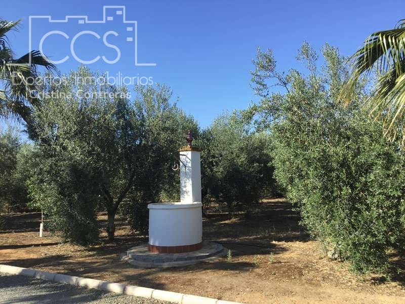 Finca/Casa Rural de 4 habitaciones en Pilas en venta con piscina - 400.000 € (Ref: 4617063)